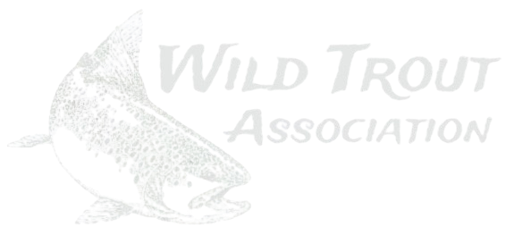 Wild Trout Association logo