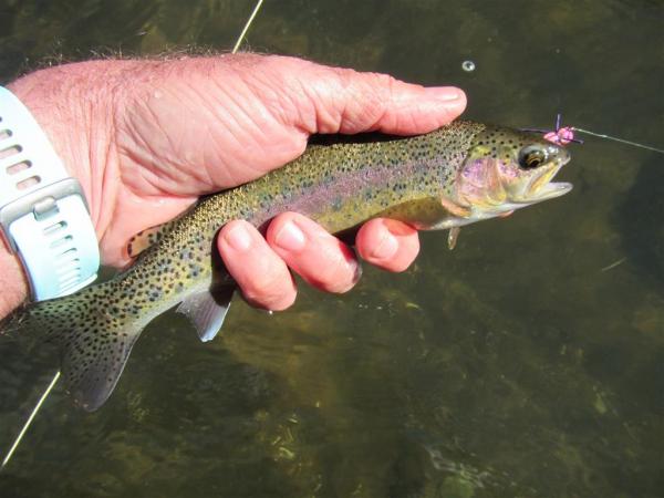 Rainbow that fell for the